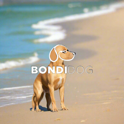 BondiDog